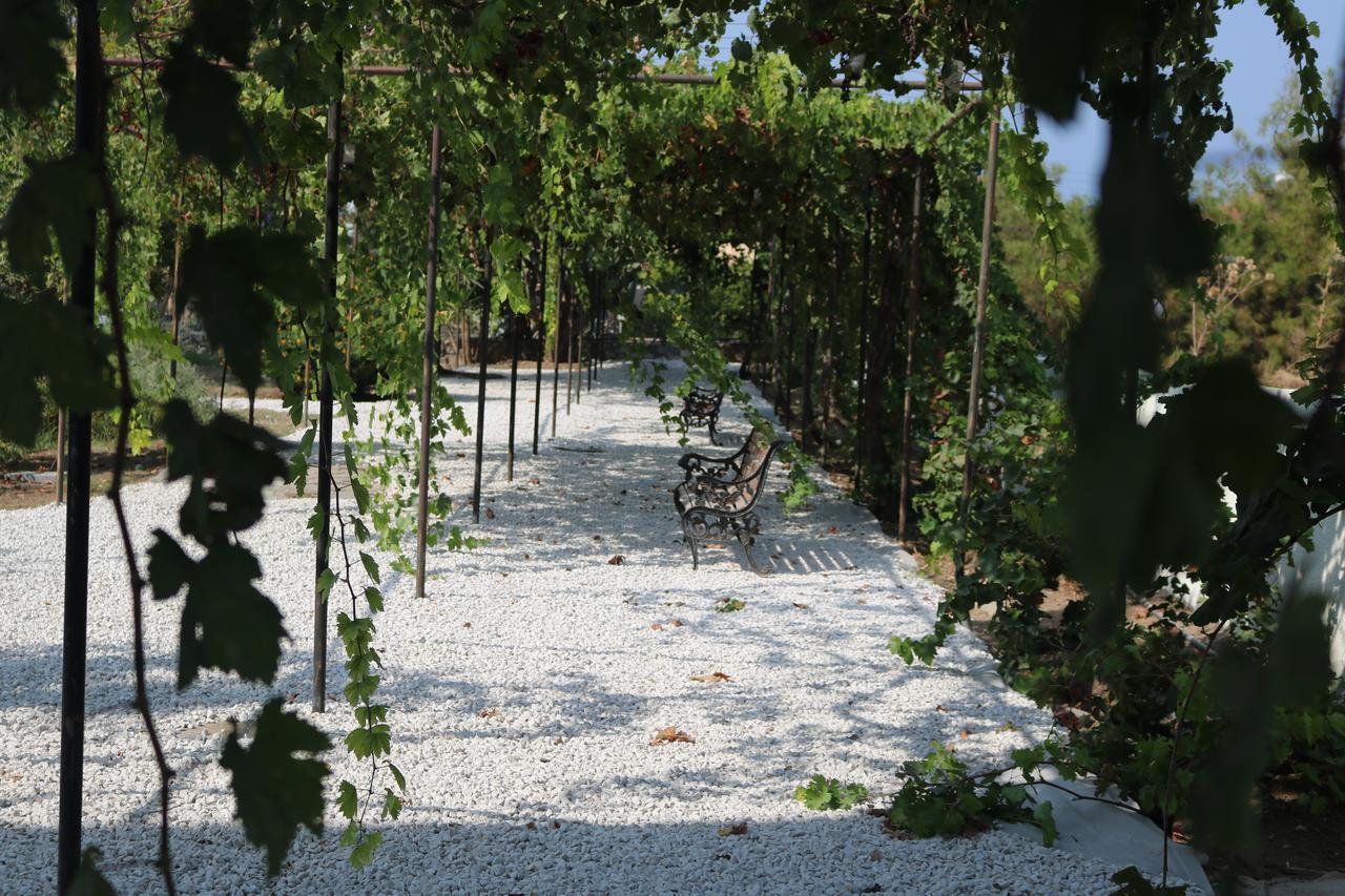 Meryem'S Hotel Agios Epiktitos Luaran gambar